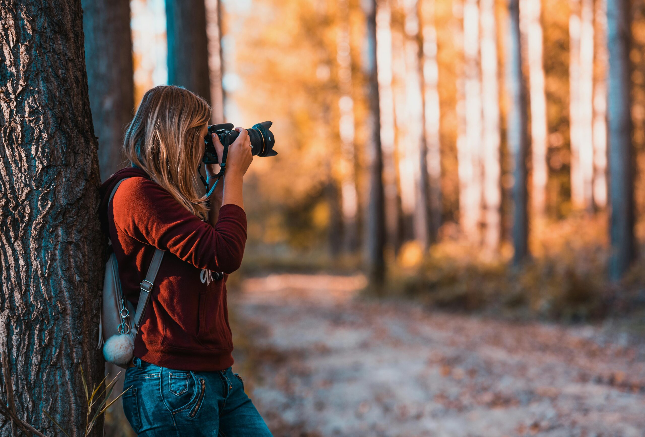 Home A woman taking photos in an autumn forest, perfectly capturing the beauty of nature.